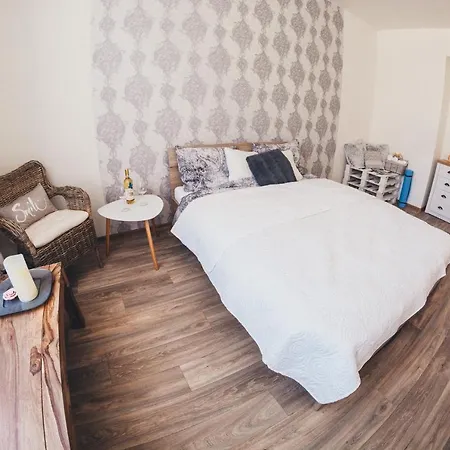 Stylovy Apartman V Centru Nachoda Exterior photo