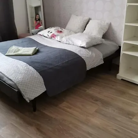 Stylovy Apartman V Centru Nachoda Exterior photo