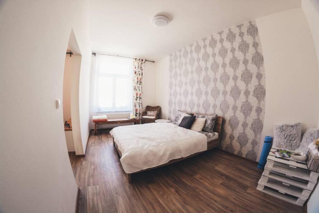 Stylovy V Centru Nachoda Apartment