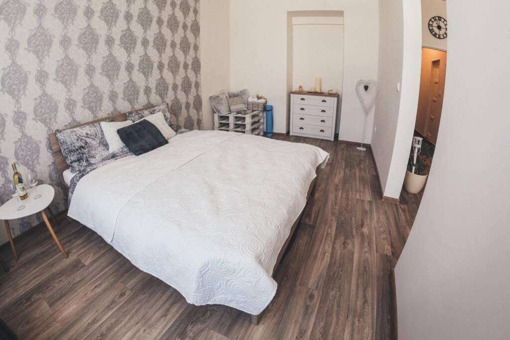 Stylový V Centru Náchoda Apartmán *